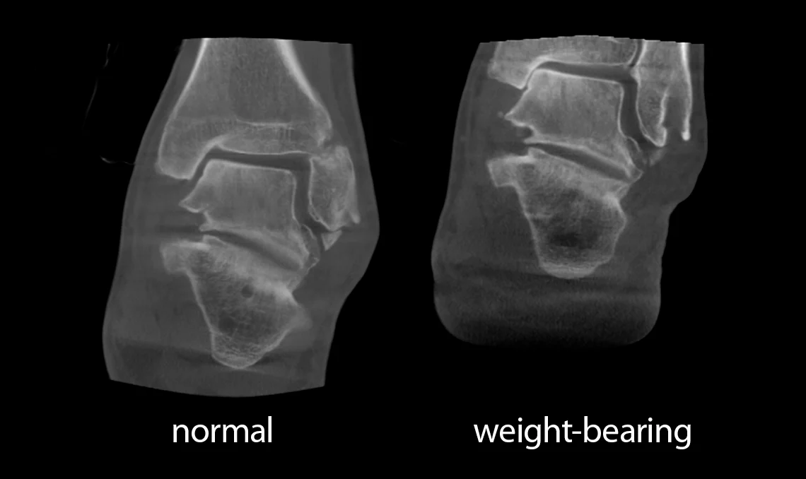 téléchargement (1)